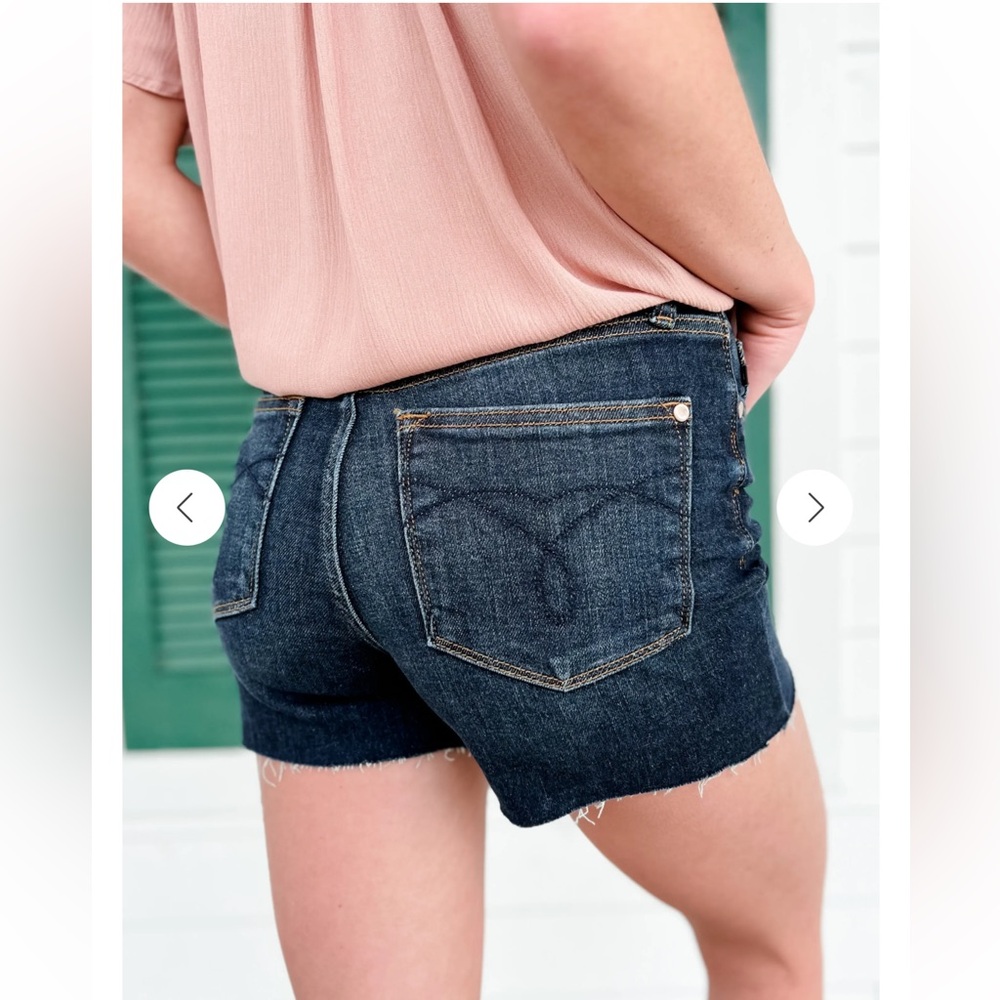 Judy‎ Blue Love Affair Button Fly Cut Off Shorts. Women’s 2XL: 18-20W. - Picture 2 of 8